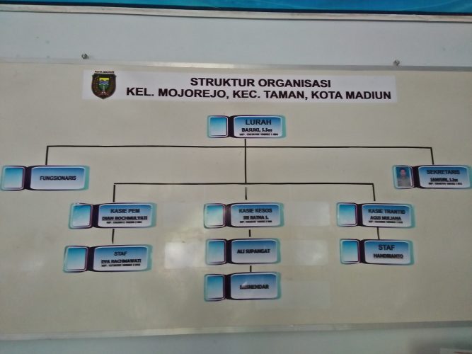STRUKTUR ORGANISASI